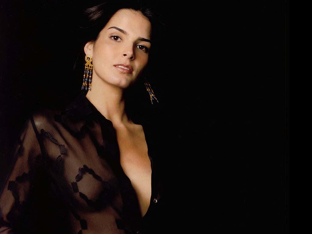 Angie Harmon Wallpaper