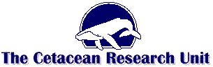 Humpback Whale Research, Education, and Conservation Center