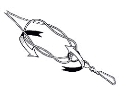 Tying Cat's Paw Knot to Swivel Step by Step Pic 3 - Rotate the swivel through the central loop formed.