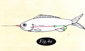 Effective Rigs for Drifting and Trolling Fishing Around Singapore Angler Hotspots Articles Photo 4