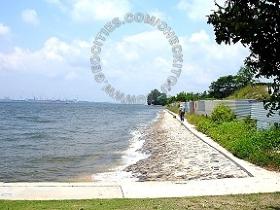 Sembawang Park Fishing Angler Hotspots 4 Pic6 - On the right Angler come here for ragworms and also for Pasi-Pasi on Late Feb to Late Jun.