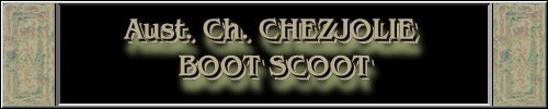 CLICK HERE
FOR DETAILS OF
CH. CHEZJOLIE BOOT SCOOT
~*~SCOOT~*~