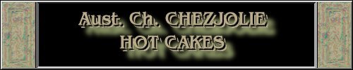 CLICK HERE
FOR DETAILS OF
CH. CHEZJOLIE HOT CAKES
~*~MUFFIN~*~