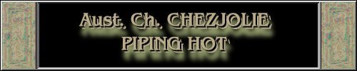 CLICK HERE
FOR DETAILS OF
CH. CHEZJOLIE PIPING HOT
~*~SKEG~*~