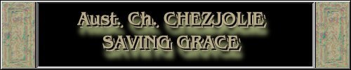 CLICK HERE
FOR DETAILS OF
CH. CHEZJOLIE SAVING GRACE
~*~GRACE~*~