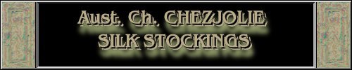 CLICK HERE
FOR DETAILS OF
CH. CHEZJOLIE SILK STOCKINGS
~*~EMILY~*~