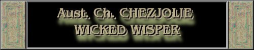 CLICK HERE
FOR DETAILS OF
CH. CHEZJOLIE WICKED WISPER
~*~SHELLY~*~