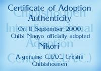 Nikori's certificate. I got him from the Chibishounen Interdimensional Adoption Center.