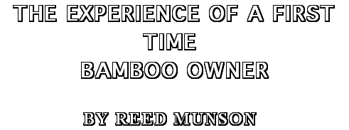 Experience of Bamboo Owner
