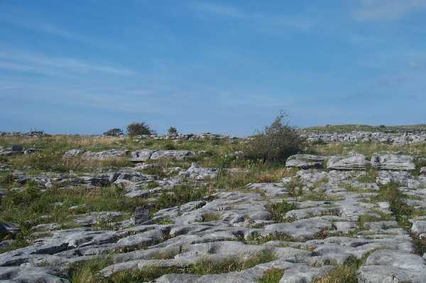 The scoured limestone of The Burren