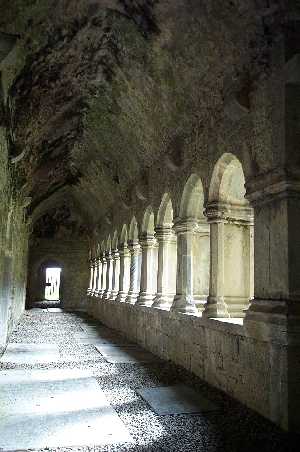 Insdie the Cloister