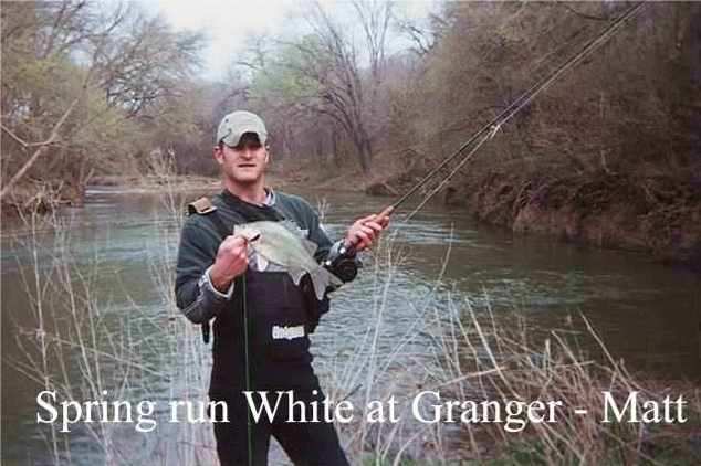 Where to Find White Bass in Central Texas