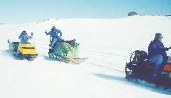 Tamworth sledge towed by Skidoo