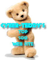 Cyberteddys top 500