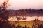 Company for sunset at Okaukuejo Camp - Etosha, Namibia