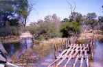 Many rivers to cross... and no bridge - Chobe, Botswana