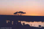 Before sunrise in the west part of the Etosha Pan, Namibia