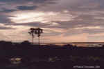 Sunset at Twee Palms, eastern Etosha - Namibia