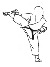 Unified Shito-Ryu Academy Dojo