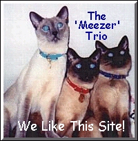 The 'Meezer' Trio We Like This Site!