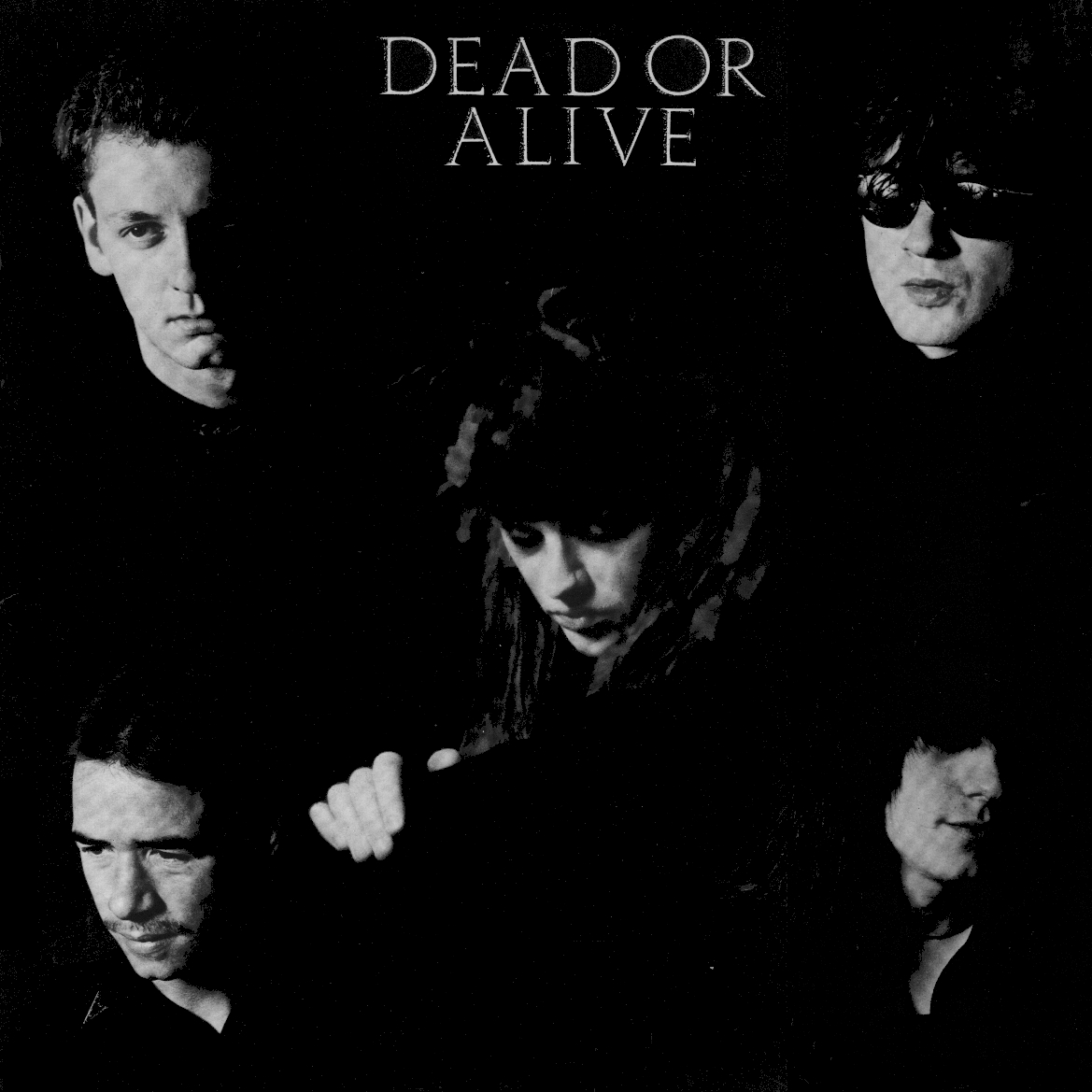 Dead Or Alive Discography