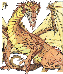 Bronze Metallic Dragon