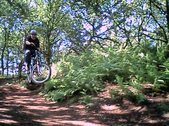 Hemlock stone mountain online bike trails