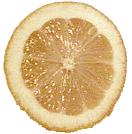 lemon-c.gif (11842 bytes)