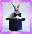 Rabbit in a Hat Magic Trick