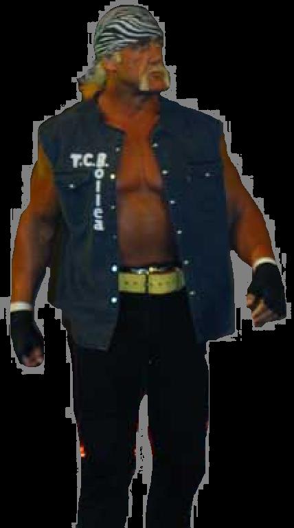 F.U.N.B Hulk Hogan