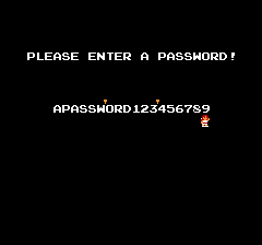 Password Entry Screen