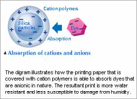 Cation Polymers