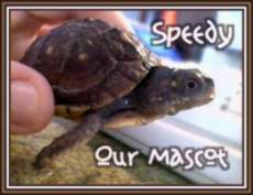 Speedy- our mascot