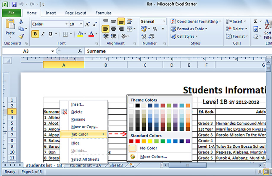 MS Office Excel 2010 Online Module: Lesson One