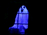 fantasma14