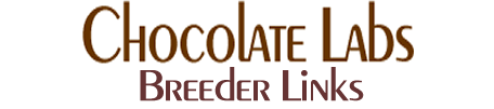 Chocolate Labs Breeder Links