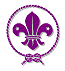 World Scout Organisation