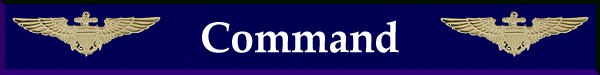 Command banner with Naval Aviator Wings