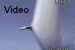 MPEG Video of Condensation cloud form during a transonic flyby.