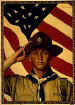 Boy Scout Salute