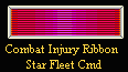 Starfleet Command Combat Injury Ribbon