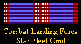 Starfleet Command Combat Landing Force Ribbon