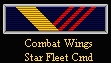 Starfleet Command Combat Wings Ribbon