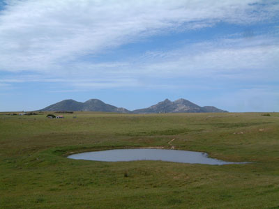 The Gin Bottle from Walkers Lookout