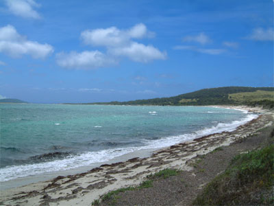 Settlement Pt and Wybaleena Is