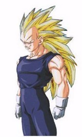 Vegeta Saiyan 3