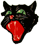 Black Cat Screech