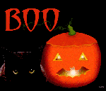 Private Image-Halloween Boo Cat!