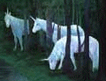 Private Image-unicorn forest tiny pic.