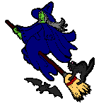 Witch & Cat Flying Broom